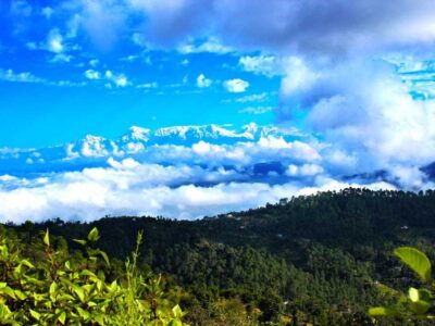 Best Homestays