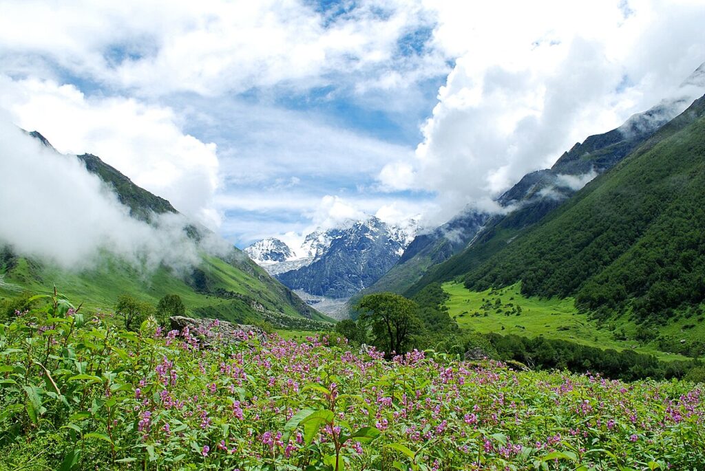 A Valley of flowers Garhwal Uttarakhand India