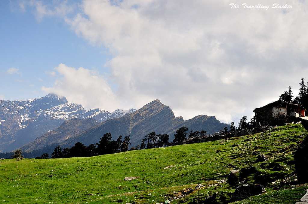 CHOPTA