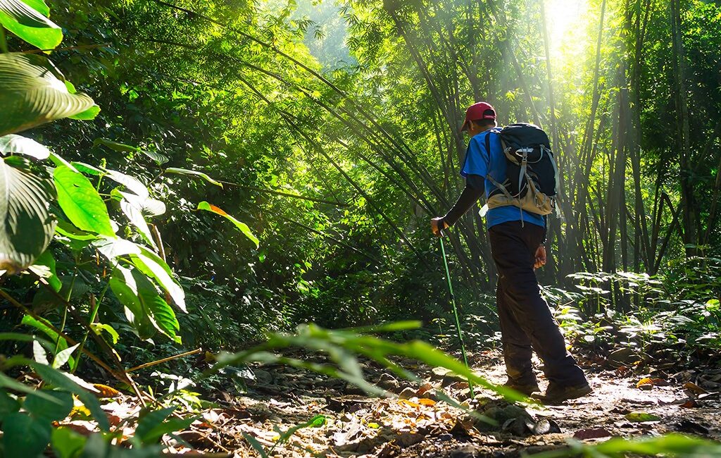 8 Tambdi Surla Waterfall Trek Trekking in Goa e1734761610435