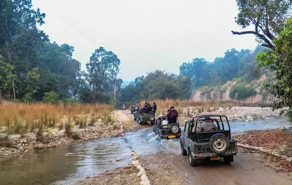 Jeep Safari 1 scaled 1 e1734340952636