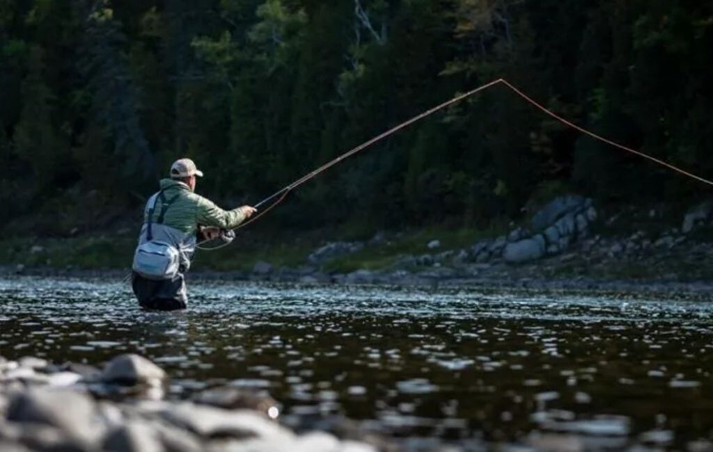 angling fishing in himachal pradesh cost e1734702790278