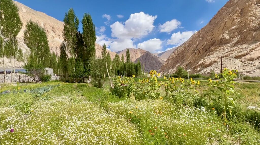teri village terido teriphu tirido offbeat ladakh skudung 44