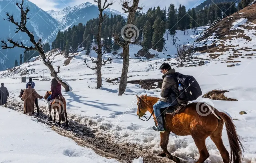 tourists enjoying horse riding aru valley winter scene near pahalgam kashmir india aru kashmir india february tourists 224403328 e1734763361387