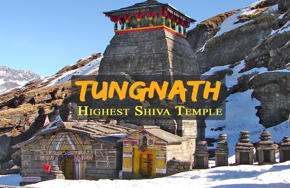 tungnath 9625571