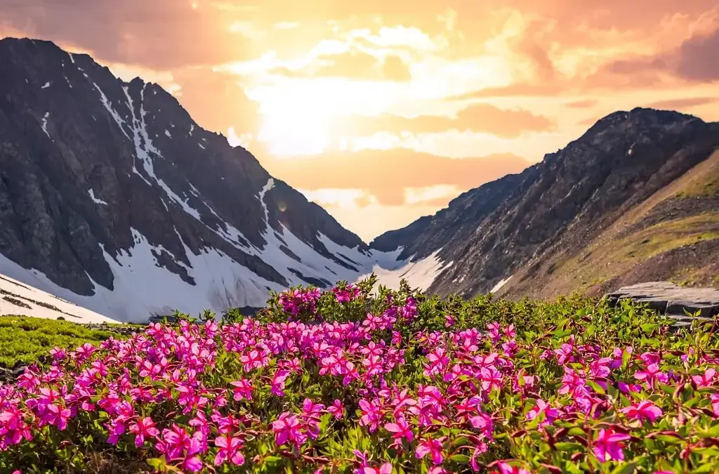 uttrakhand valley of flowers trek e1734282919317