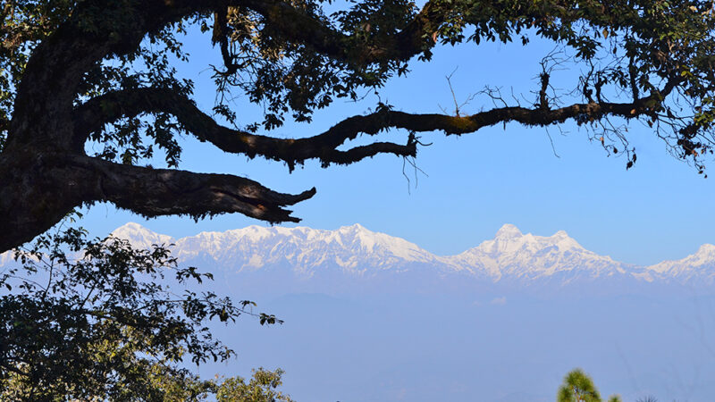 Best Himalayan Homestays in Kumaon